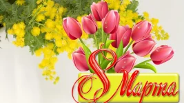 BE44C18D-DFBC-4183-ABB3-AD258229C751.webp