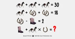1200-6.webp