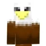 hawknet